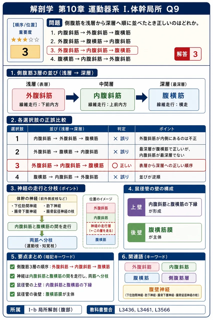 回旋筋腱板を構成する4筋として誤っているのはどれか。 解説図