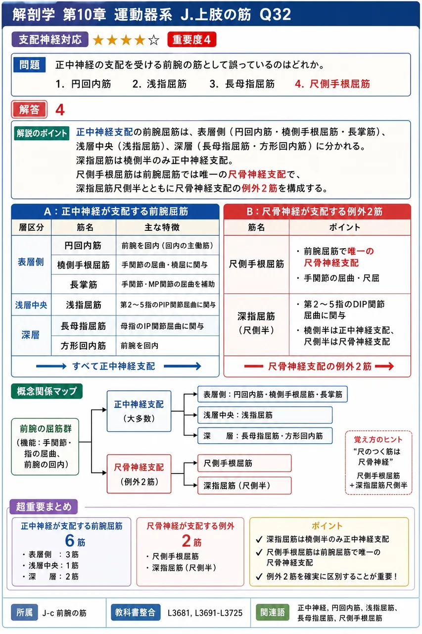正中神経の支配を受ける前腕の筋として誤っているのはどれか。 解説図