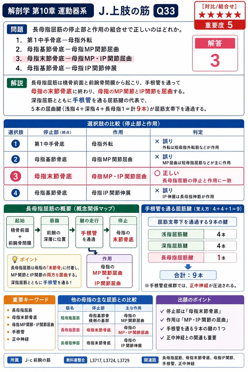 長母指屈筋の停止部と作用の組合せで正しいのはどれか。 解説図