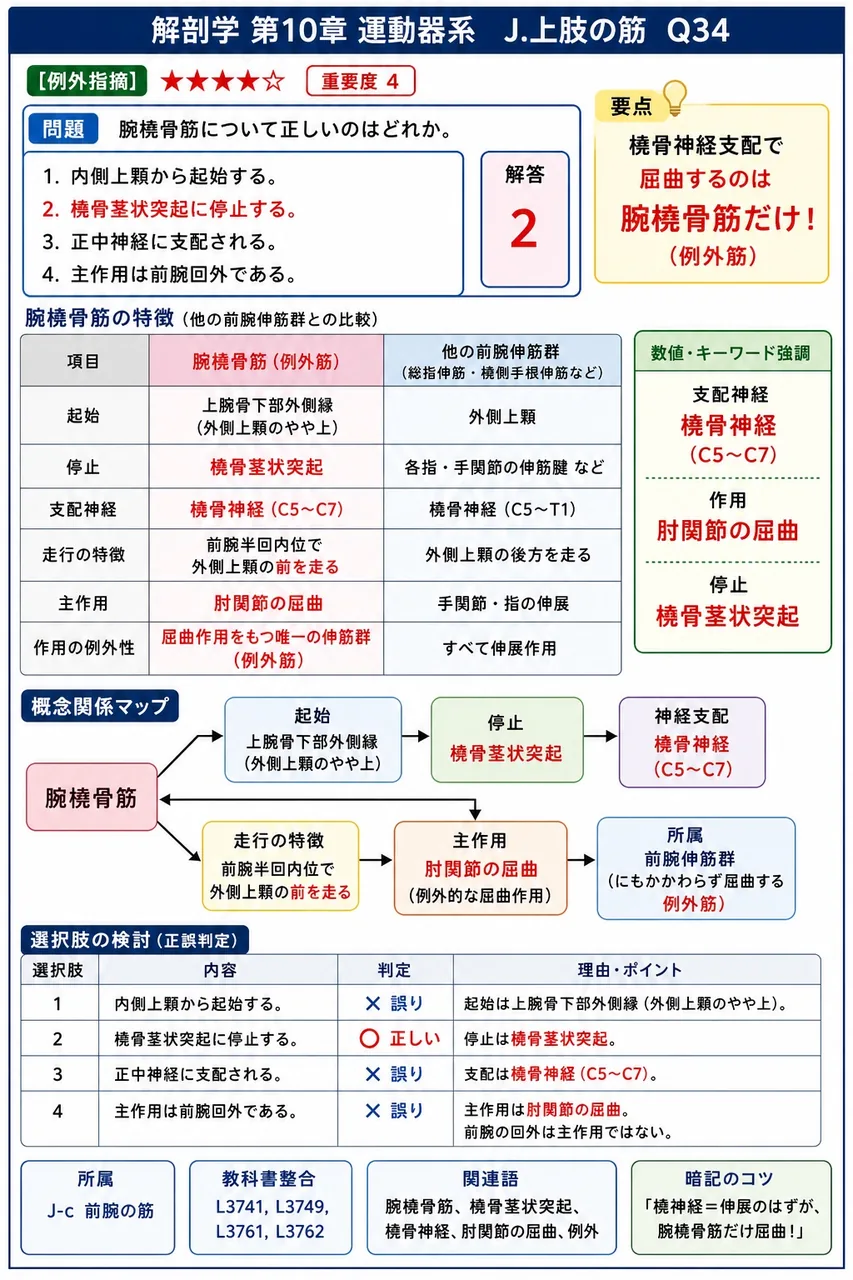 腕橈骨筋について正しいのはどれか。 解説図