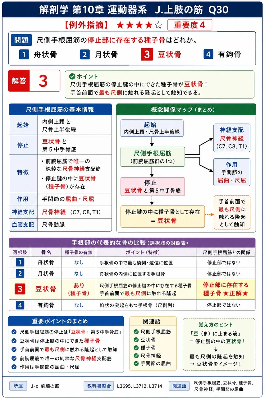 前腕浅層の屈筋群5筋を、橈側から尺側の順に並べたとき正しいのはどれか。 解説図
