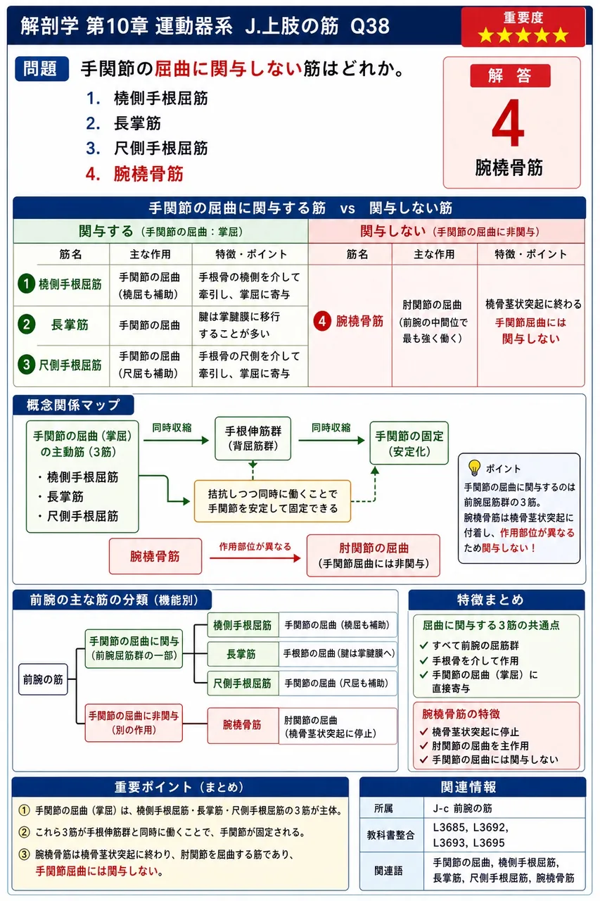 手関節の屈曲に関与しない筋はどれか。 解説図