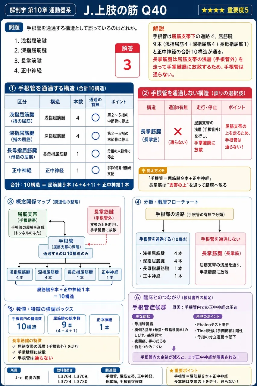 手根管を通過する構造として誤っているのはどれか。 解説図