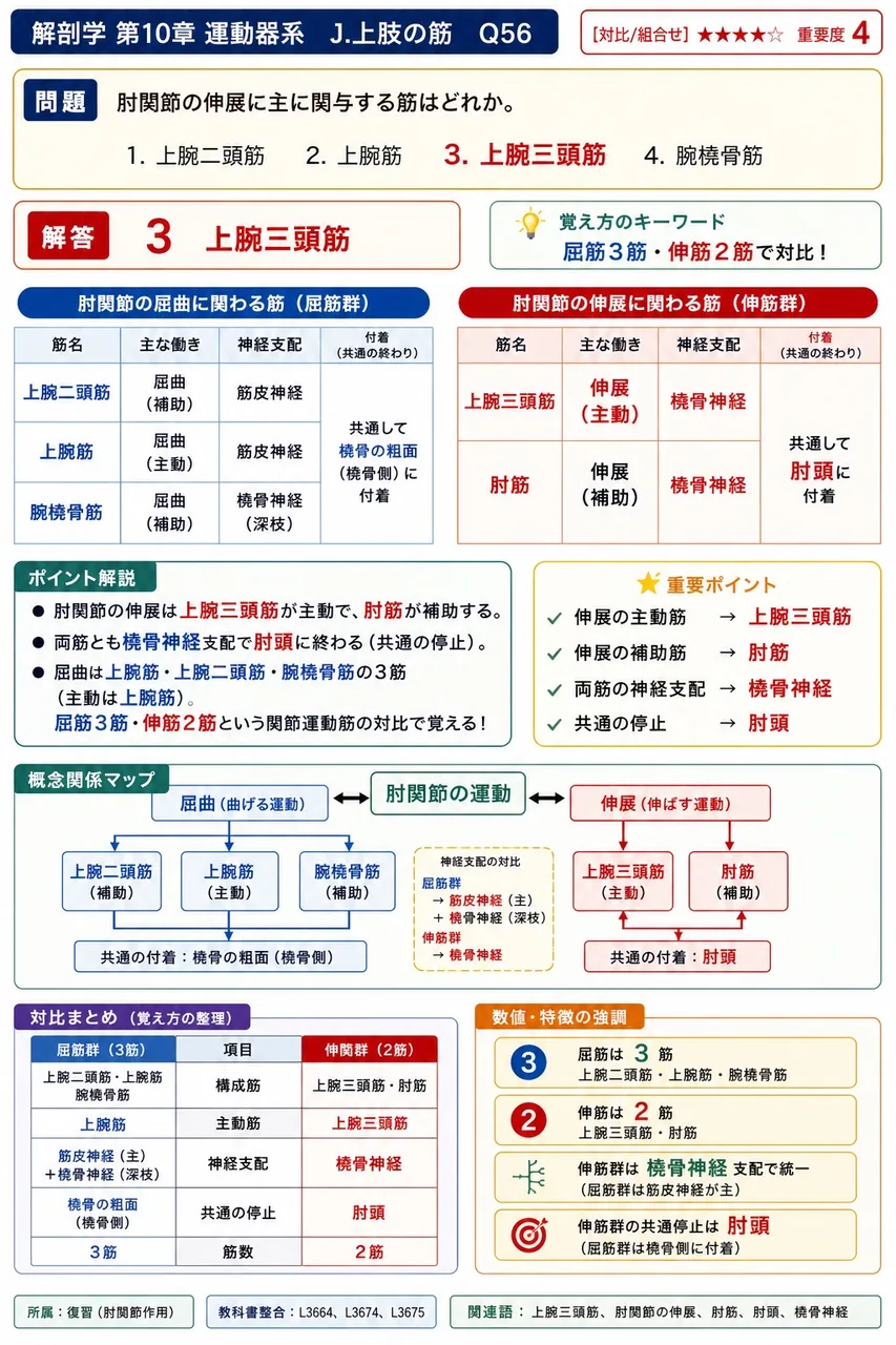 回旋筋腱板(SITS)を構成する4筋の支配神経の組合せで正しいのはどれか。 解説図