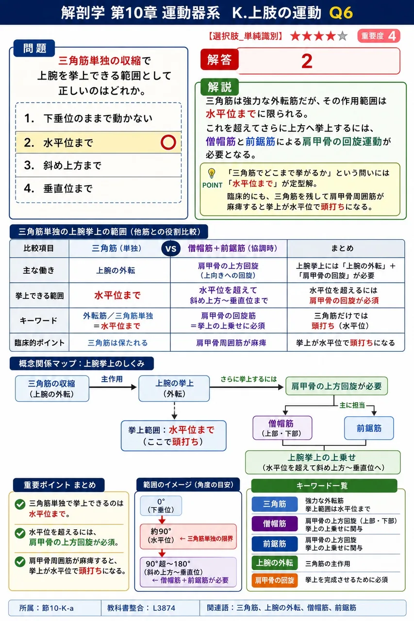 三角筋単独の収縮で上腕を挙上できる範囲として正しいのはどれか。 解説図