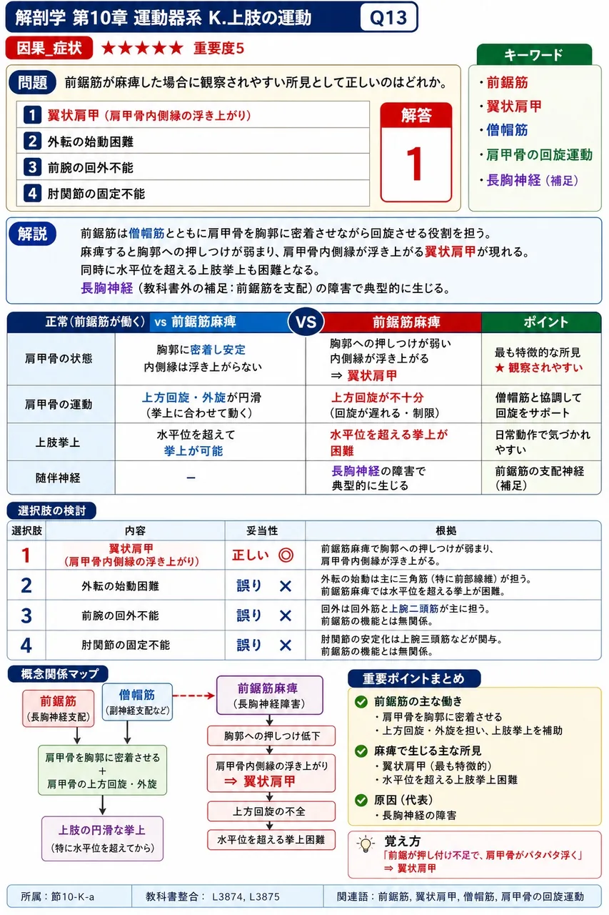 前鋸筋が麻痺した場合に観察されやすい所見として正しいのはどれか。 解説図
