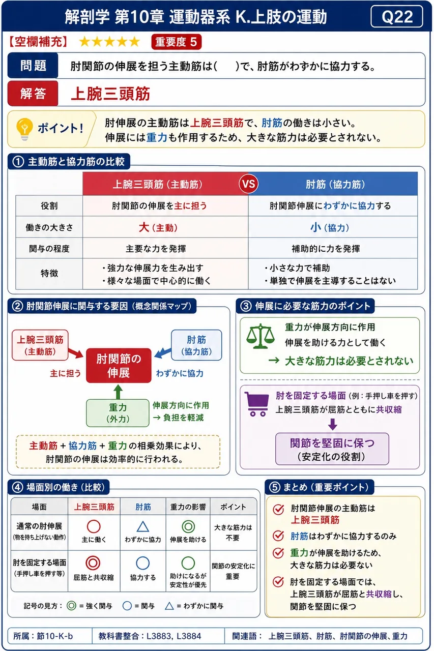 前腕の回内・回外に関する記述として正しいのはどれか。 解説図