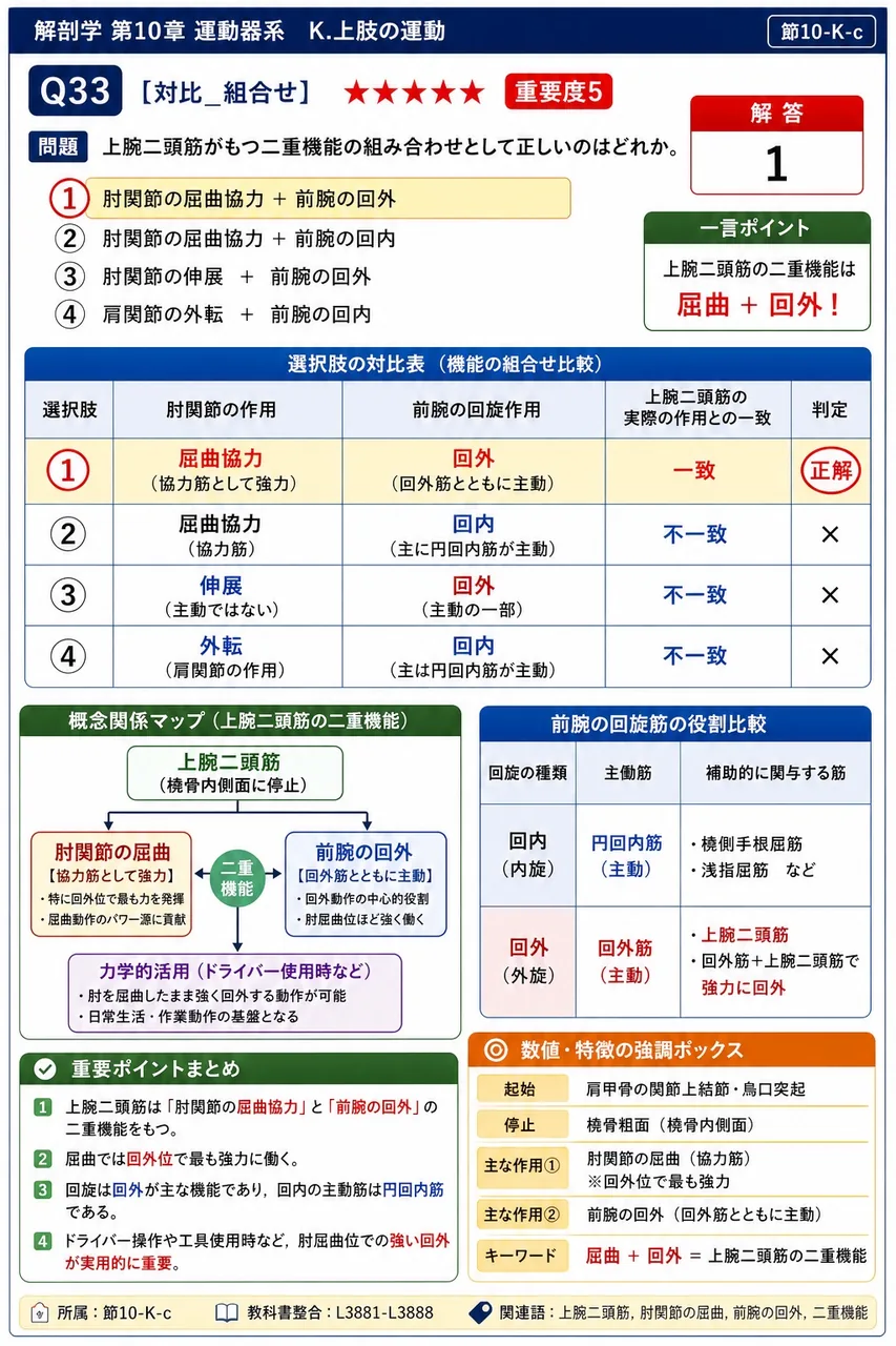 外転第3相で挙上腕の反対側の脊柱起立筋が果たす役割として正しいのはどれか。 解説図