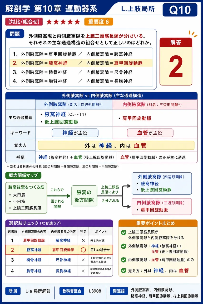 外側腋窩隙と内側腋窩隙を上腕三頭筋長頭が分けている。それぞれの主な通過構造の組合せとして正しいのはどれか。 解説図