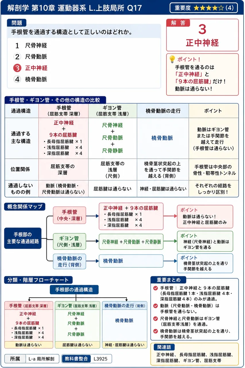 手根管を通過する構造として正しいのはどれか。 解説図