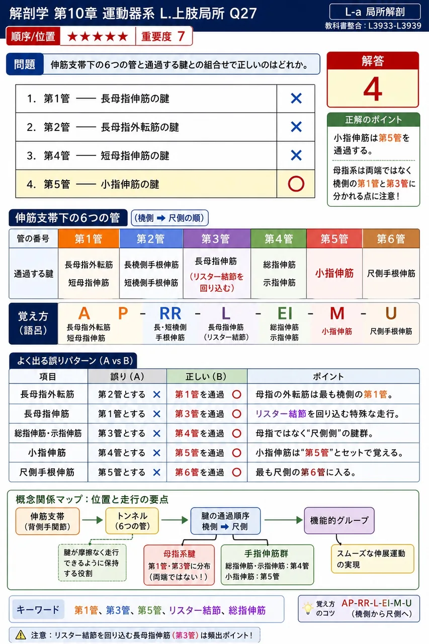 伸筋支帯下の6つの管と通過する腱との組合せで正しいのはどれか。 解説図
