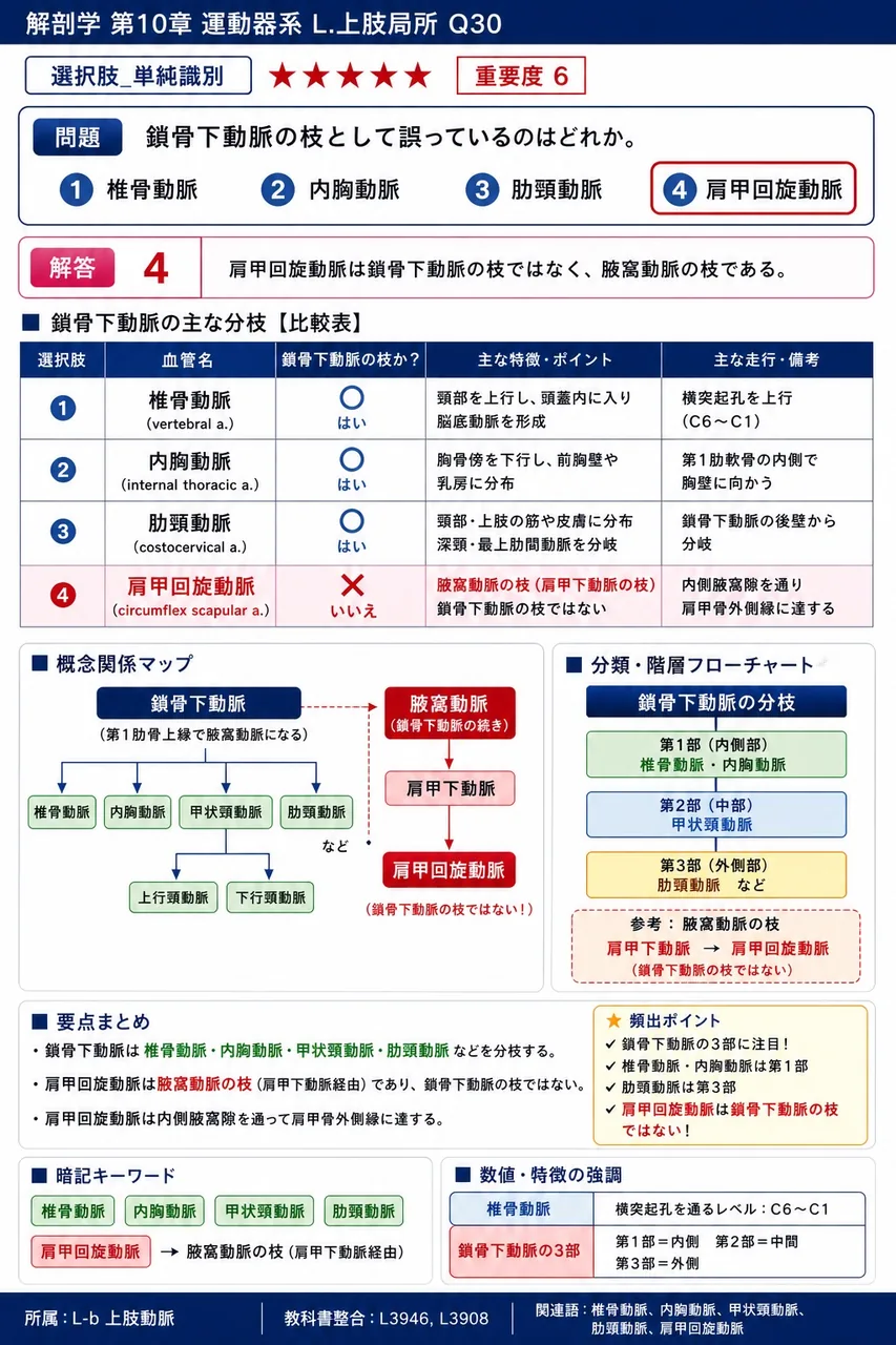 鎖骨下動脈が腋窩動脈に名称を変える境界として正しいのはどれか。 解説図