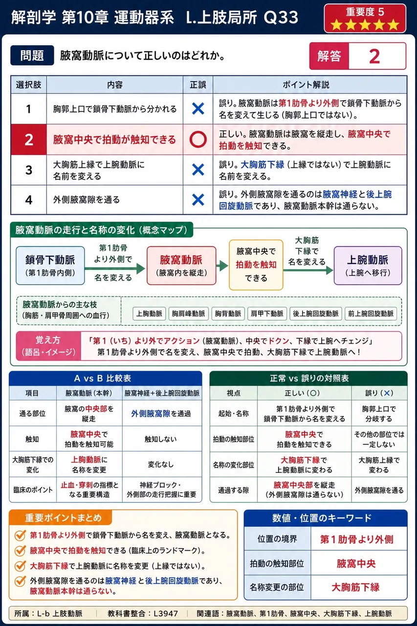 腋窩動脈について正しいのはどれか。 解説図
