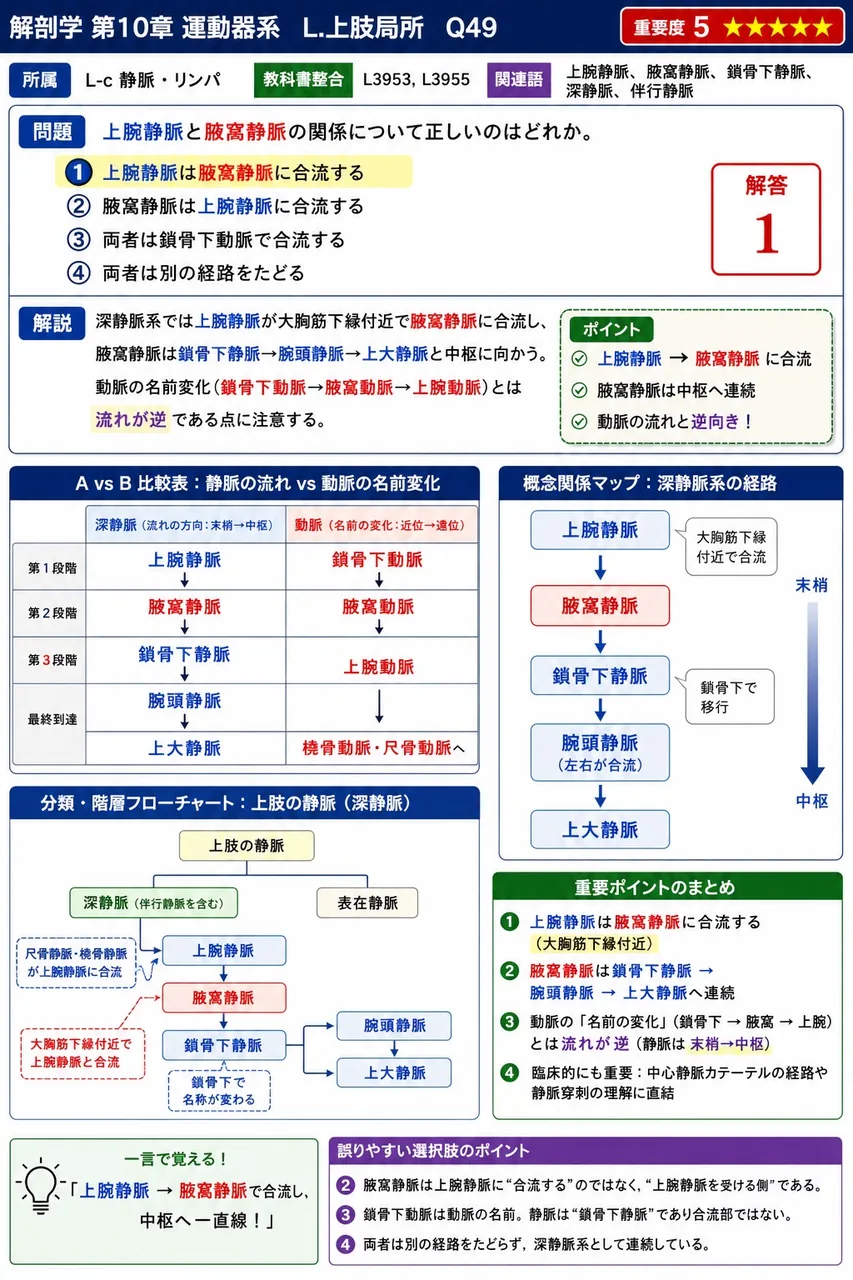 上腕静脈と腋窩静脈の関係について正しいのはどれか。 解説図