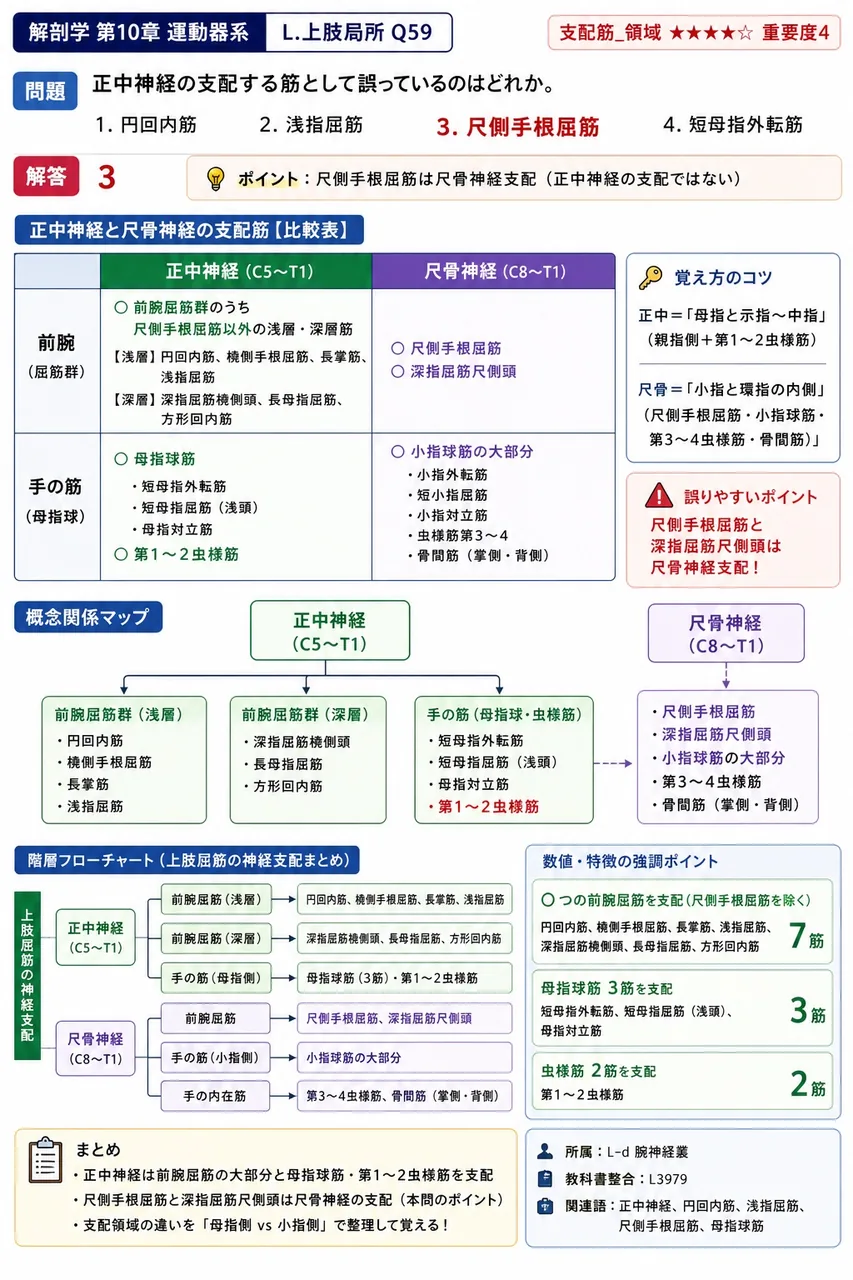 正中神経の支配する筋として誤っているのはどれか。 解説図