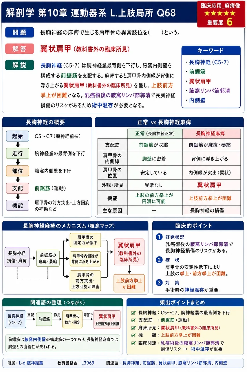 長胸神経の麻痺で生じる肩甲骨の異常肢位を( )という。 解説図