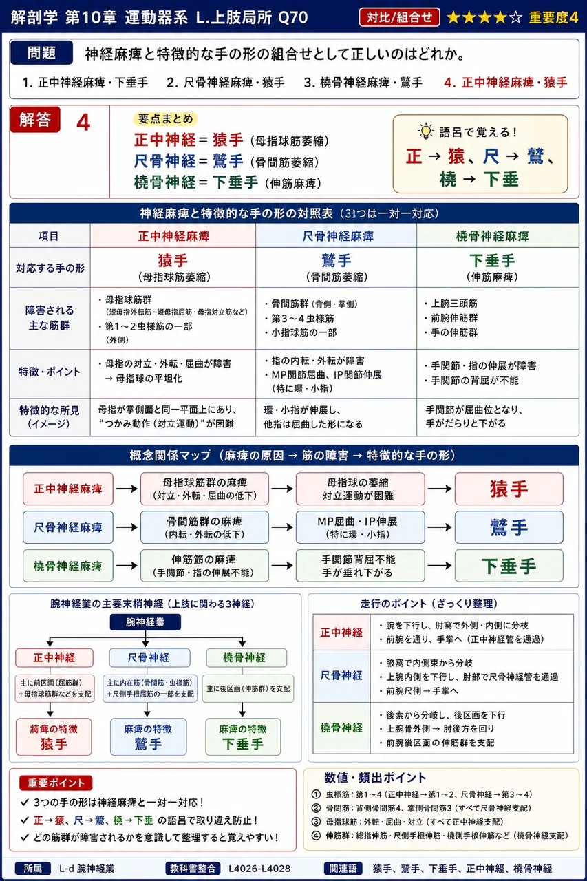 神経麻痺と特徴的な手の形の組合せとして正しいのはどれか。 解説図
