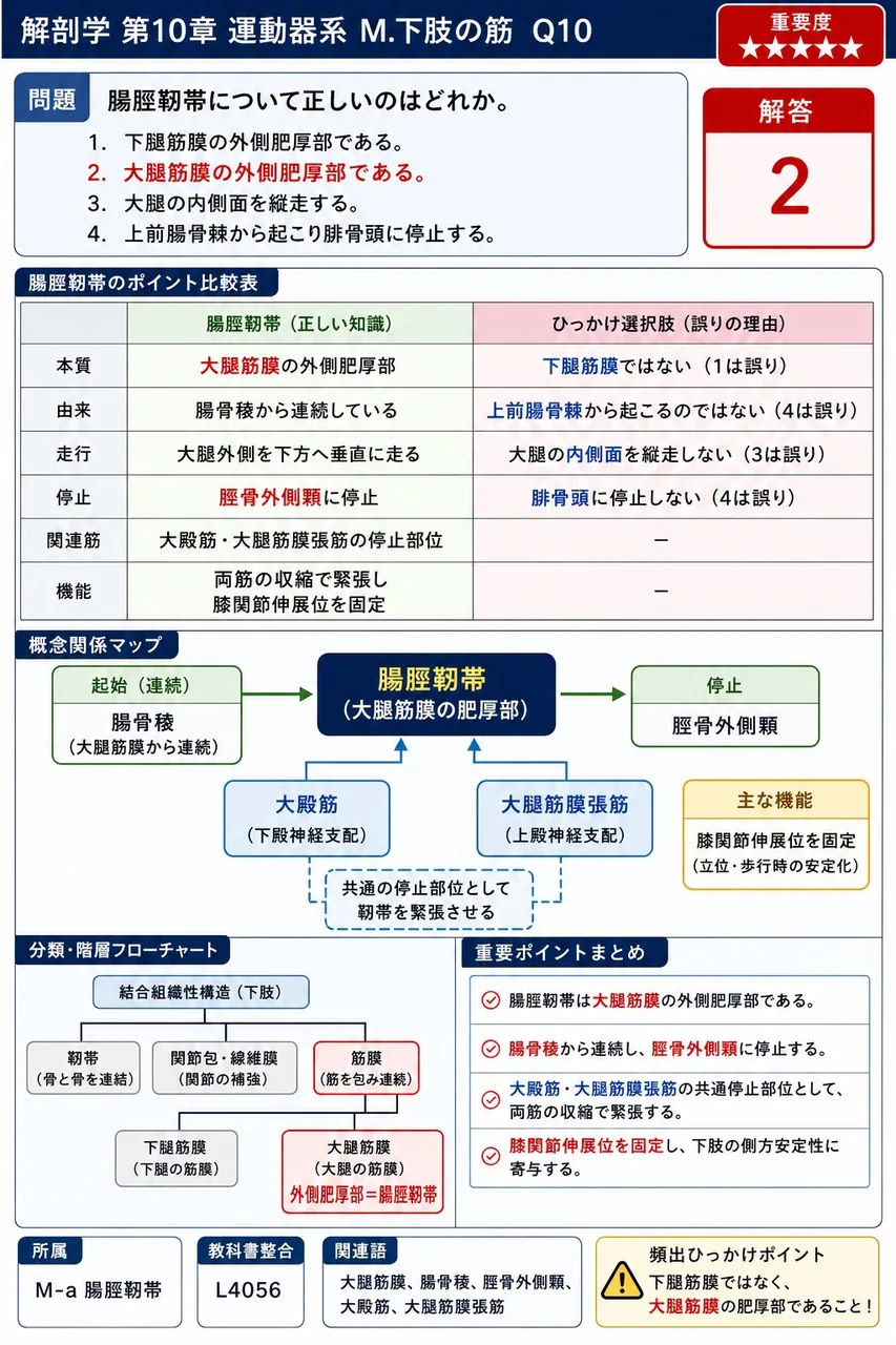 腸脛靭帯について正しいのはどれか。 解説図