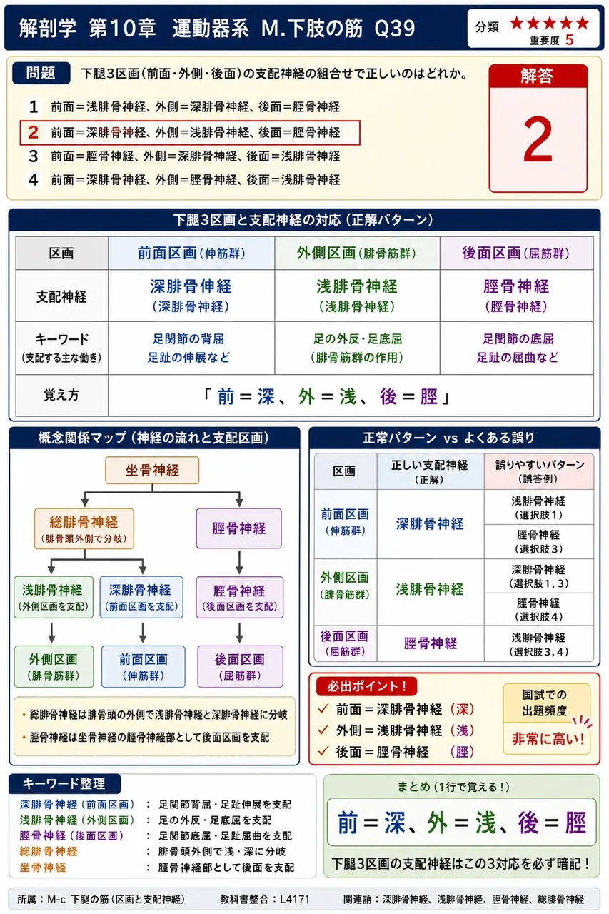 下腿3区画(前面・外側・後面)の支配神経の組合せで正しいのはどれか。 解説図