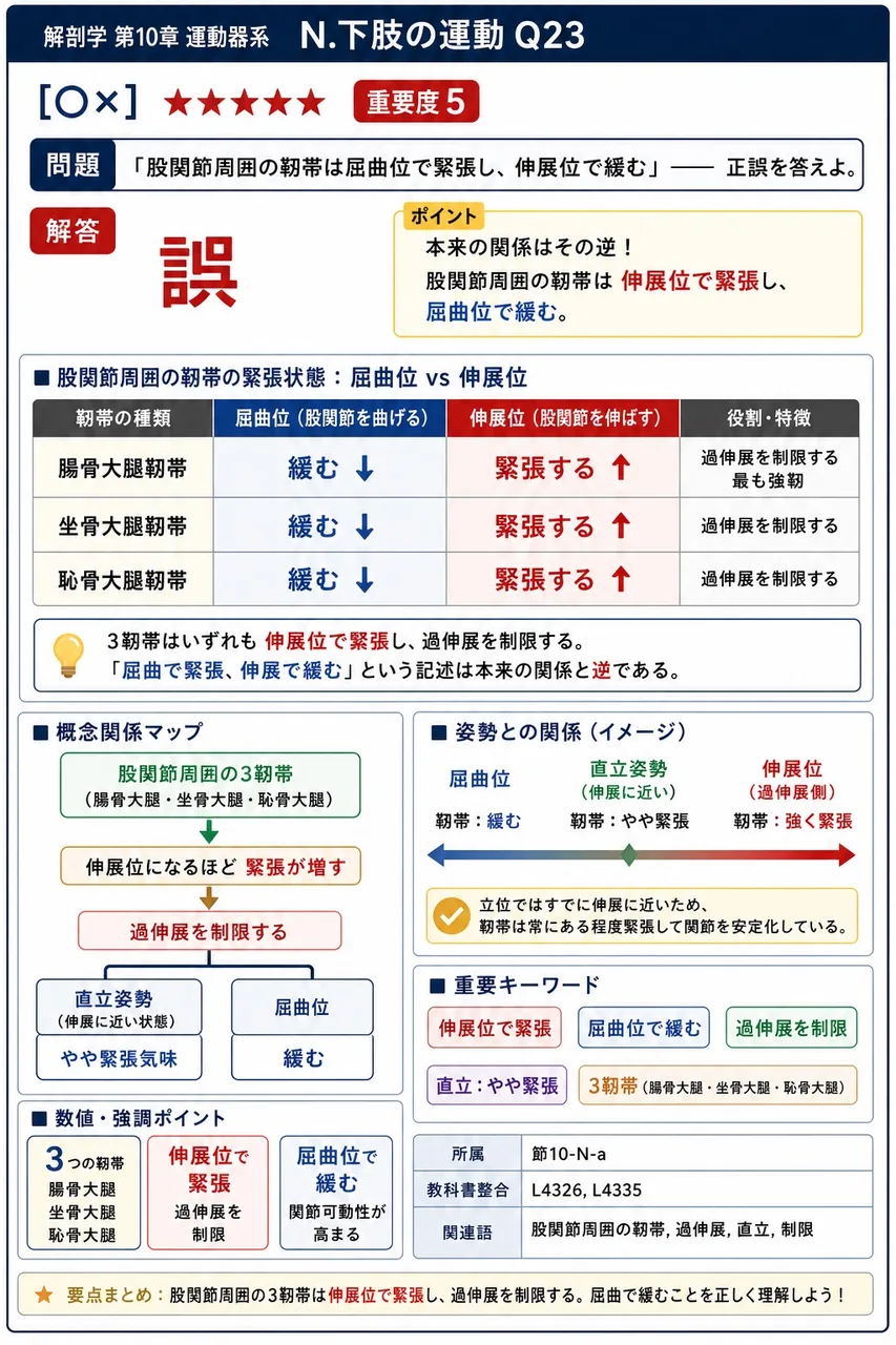 「股関節周囲の靭帯は屈曲位で緊張し、伸展位で緩む」── 正誤を答えよ。 解説図