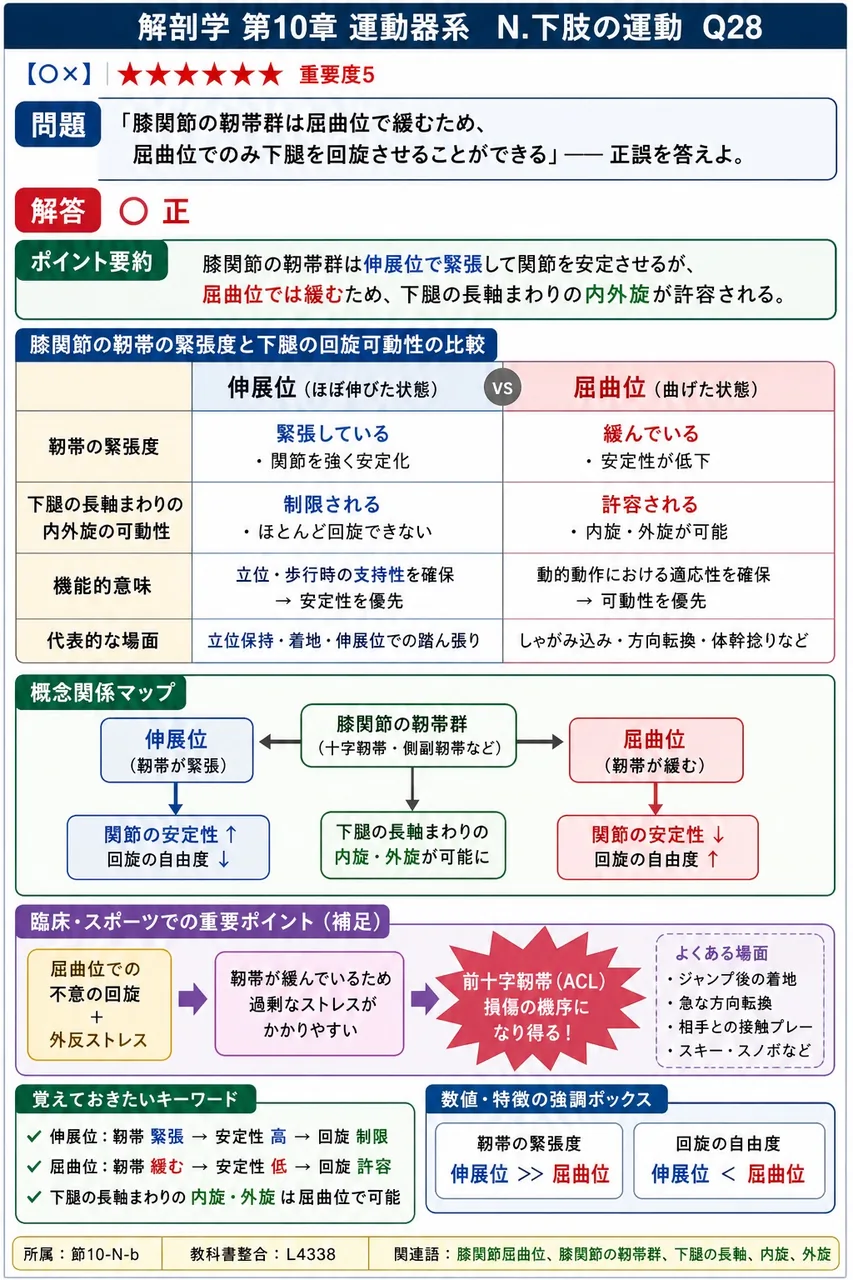 「膝関節の靭帯群は屈曲位で緩むため、屈曲位でのみ下腿を回旋させることができる」── 正誤を答えよ。 解説図