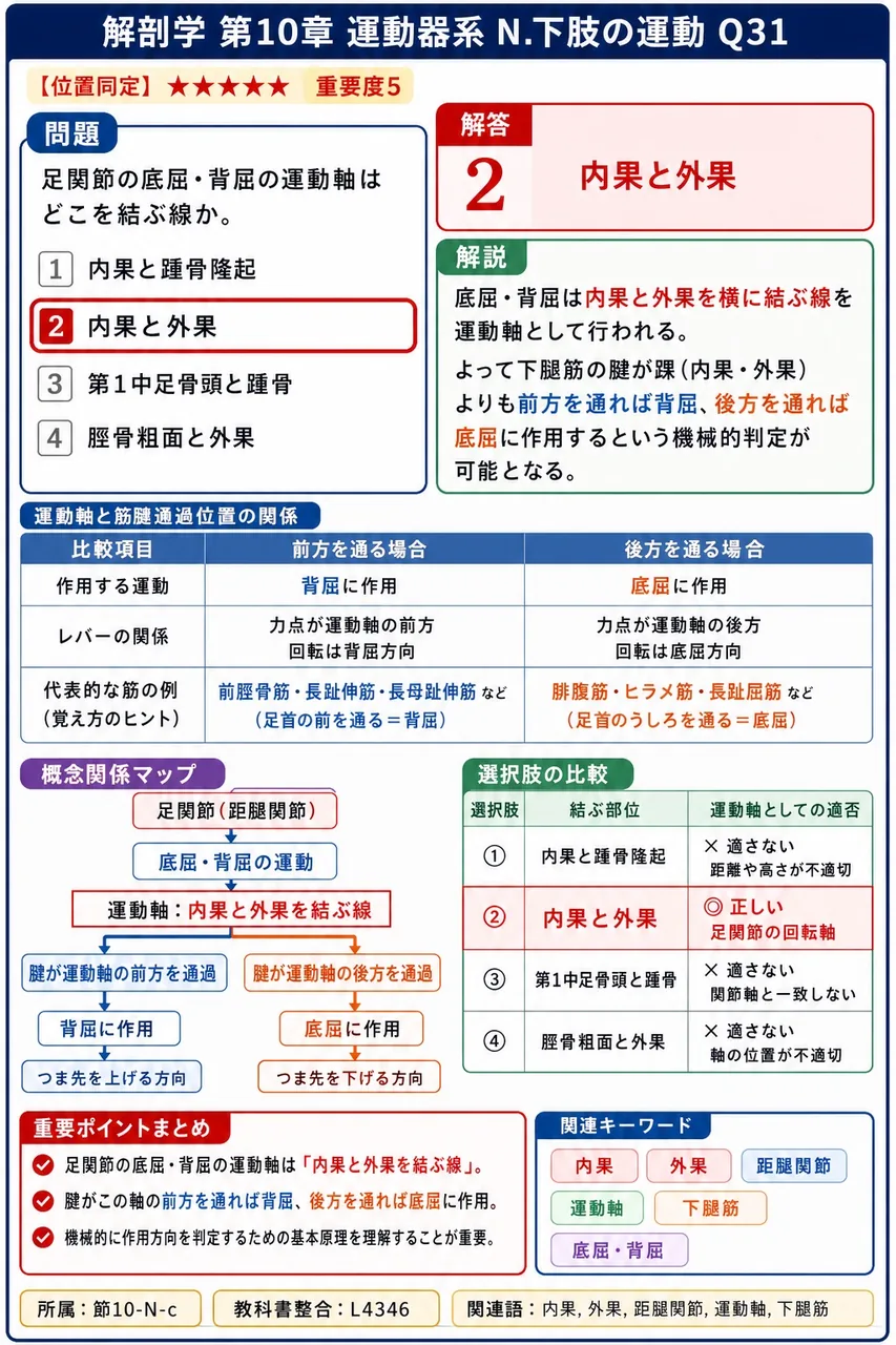 足関節の底屈・背屈の運動軸はどこを結ぶ線か。 解説図
