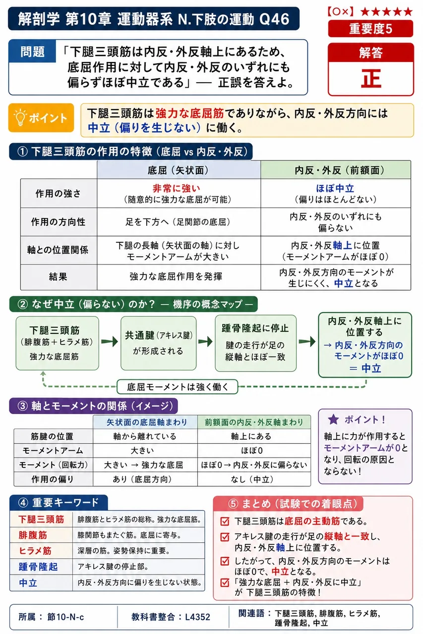「下腿三頭筋は内反・外反軸上にあるため、底屈作用に対して内反・外反のいずれにも偏らずほぼ中立である」── 正誤を答えよ。 解説図