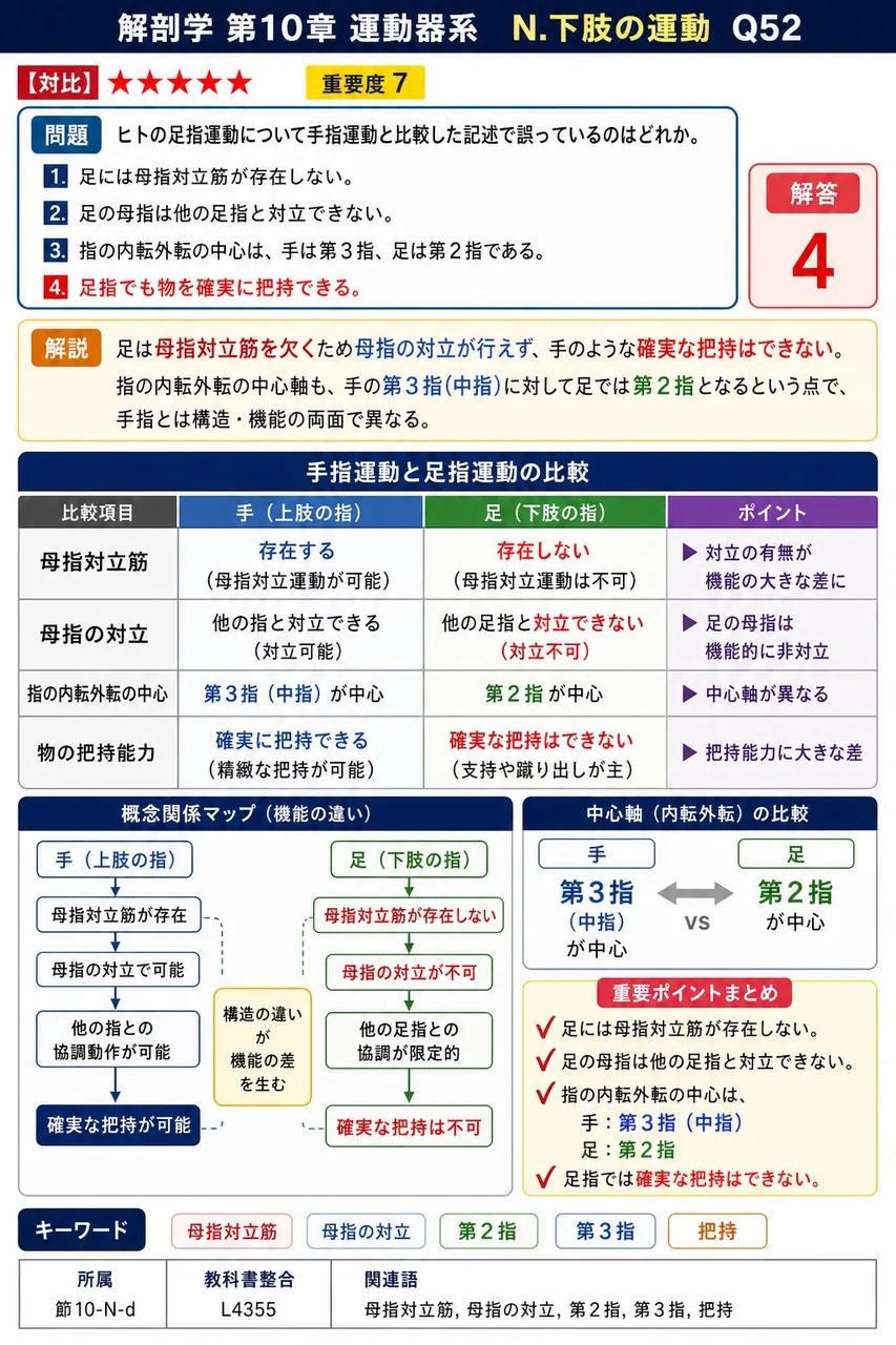 ヒトの足指運動について手指運動と比較した記述で誤っているのはどれか。 解説図