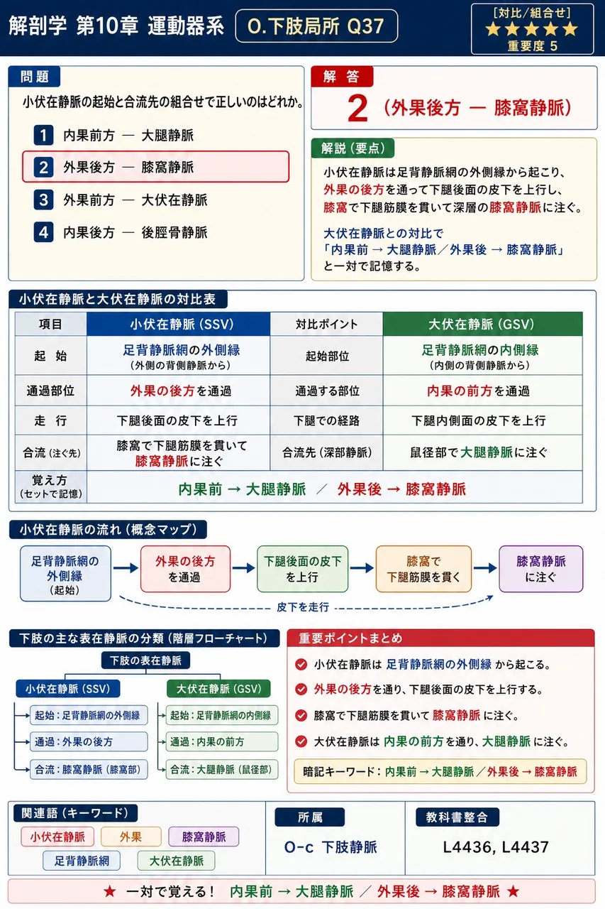 小伏在静脈の起始と合流先の組合せで正しいのはどれか。 解説図