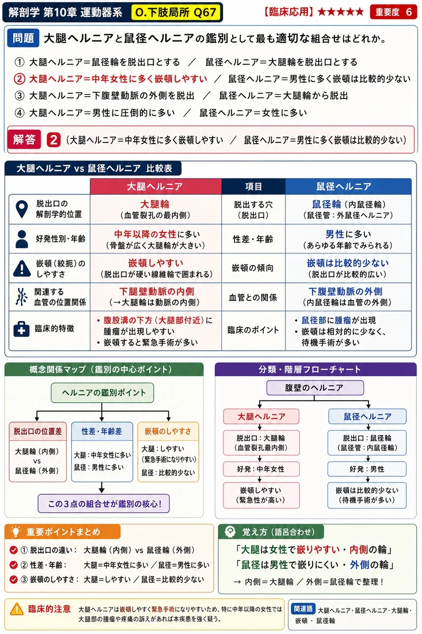 大腿ヘルニアと鼠径ヘルニアの鑑別として最も適切な組合せはどれか。 解説図