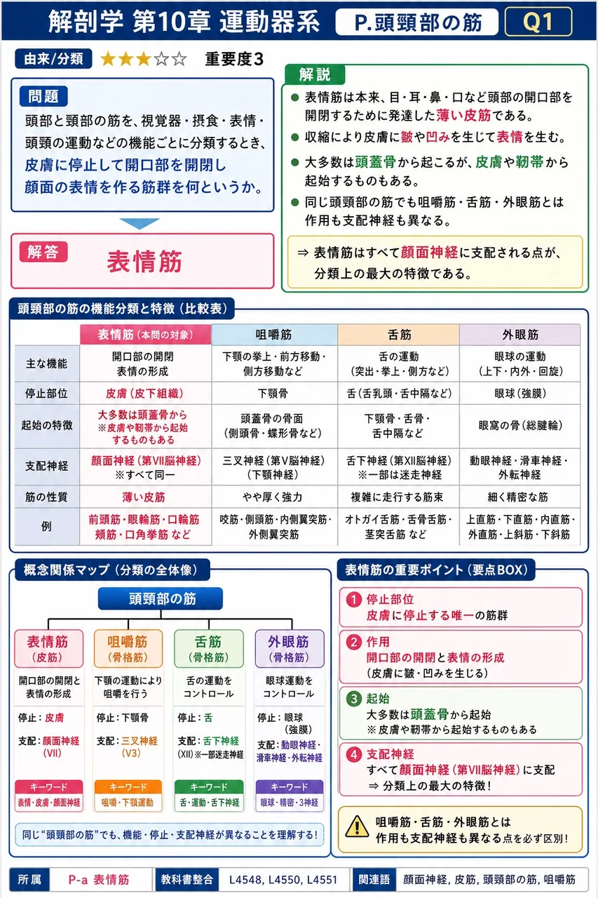 頭部と頸部の筋を、視覚器・摂食・表情・頭頸の運動などの機能ごとに分類するとき、皮膚に停止して開口部を開閉し顔面の表情を作る筋群を何というか。 解説図