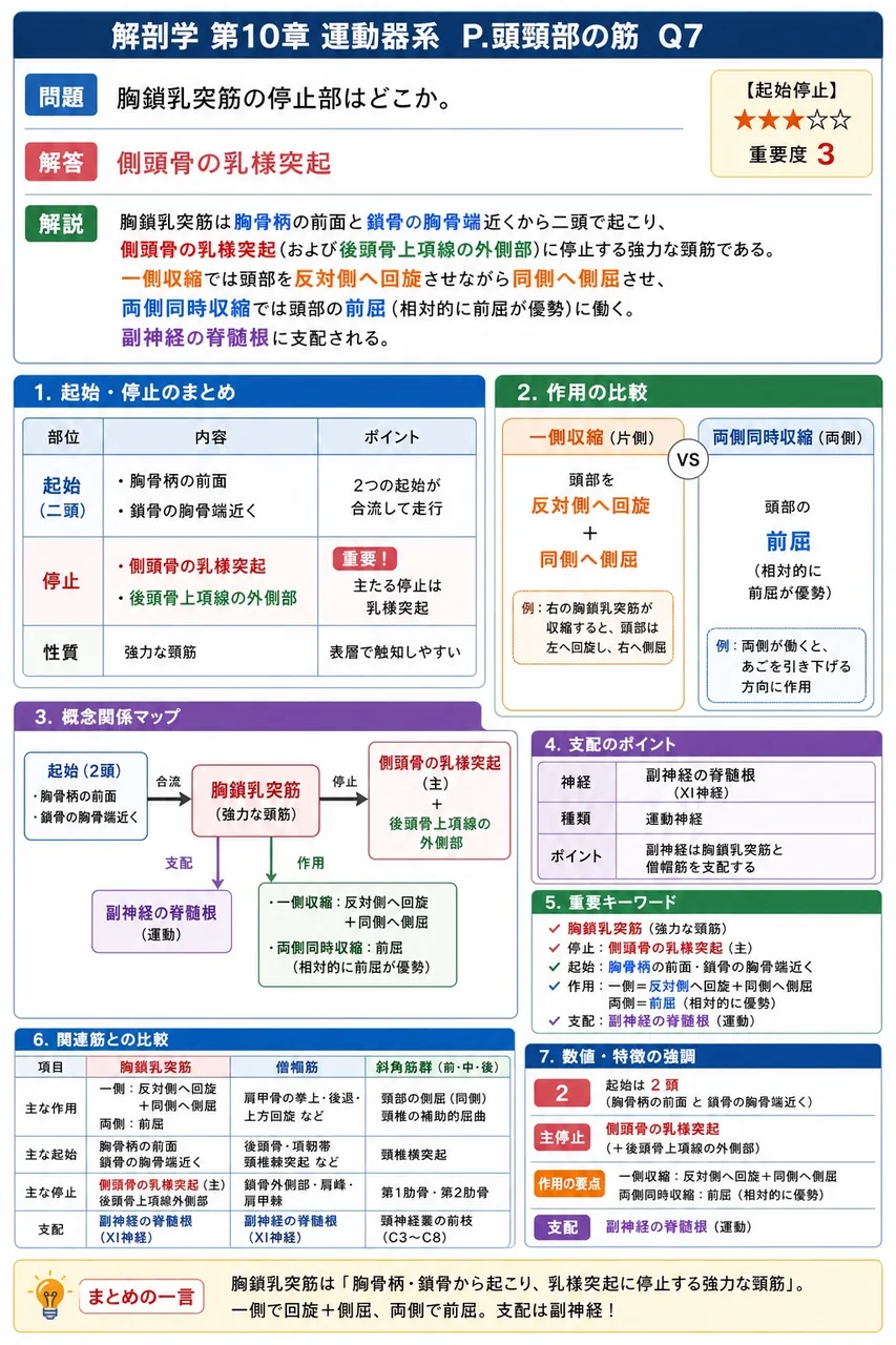 胸鎖乳突筋の停止部はどこか。 解説図