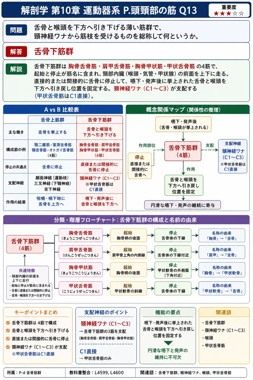 舌骨と喉頭を下方へ引き下げる薄い筋群で、頸神経ワナから筋枝を受けるものを総称して何というか。 解説図