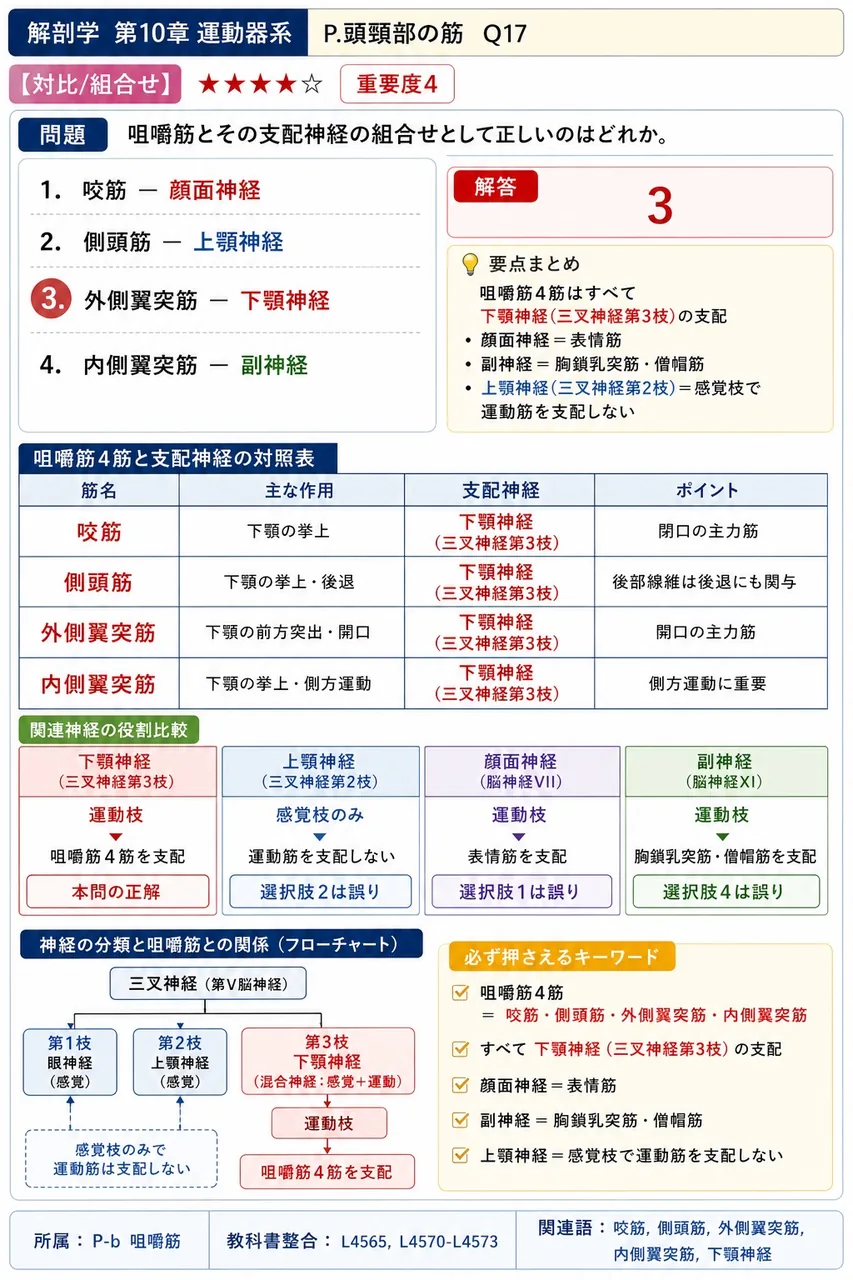 咀嚼筋とその支配神経の組合せとして正しいのはどれか。 解説図
