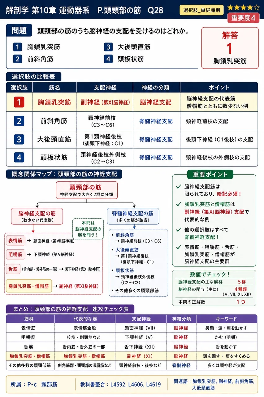 頭頸部の筋のうち脳神経の支配を受けるのはどれか。 解説図