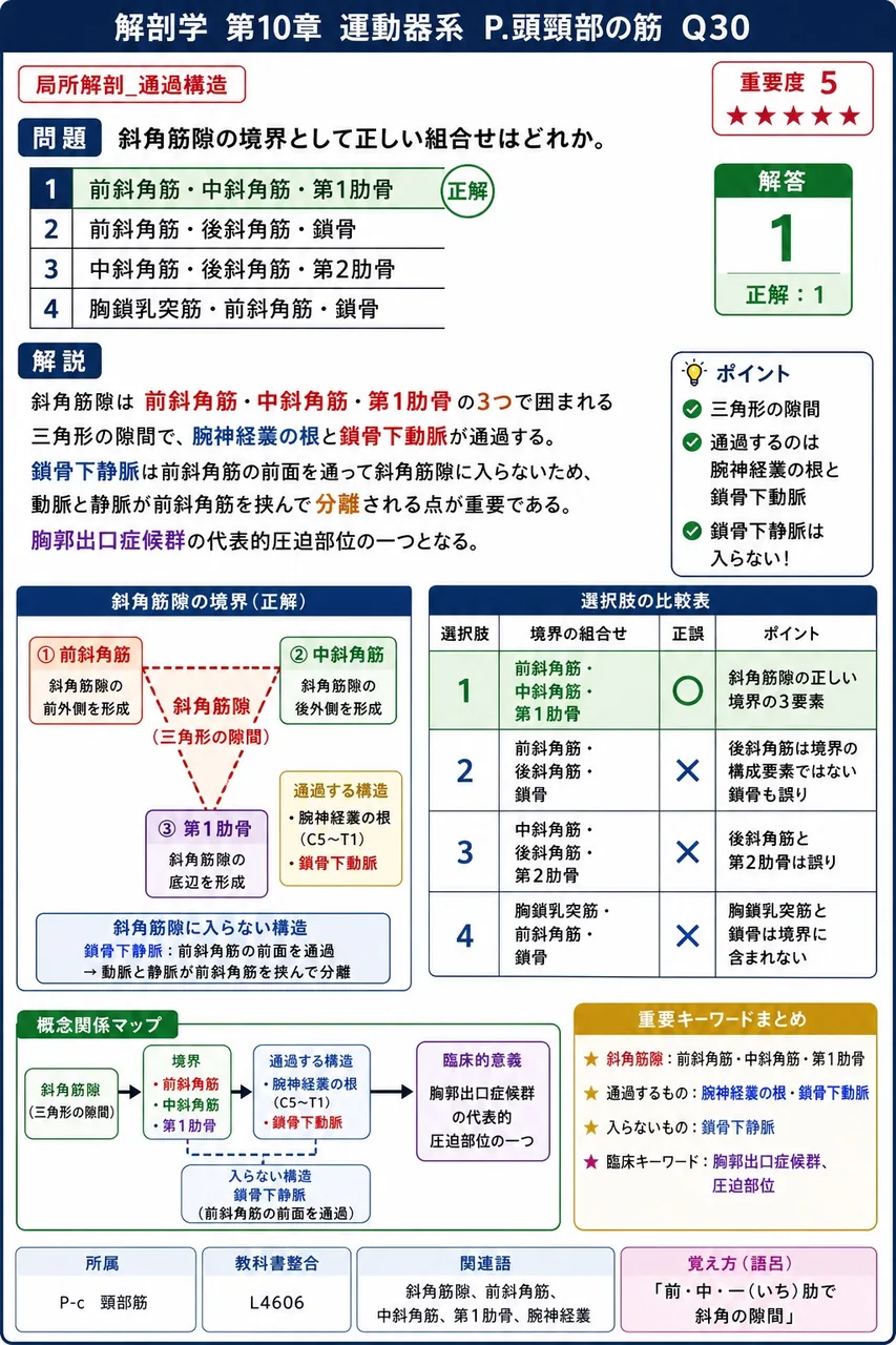 斜角筋隙の境界として正しい組合せはどれか。 解説図