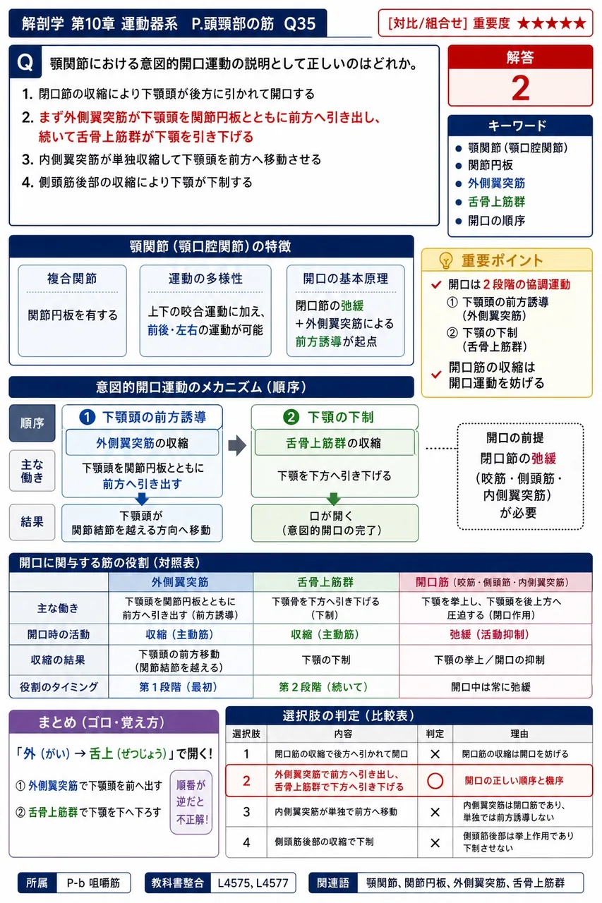 顎関節における意図的開口運動の説明として正しいのはどれか。 解説図