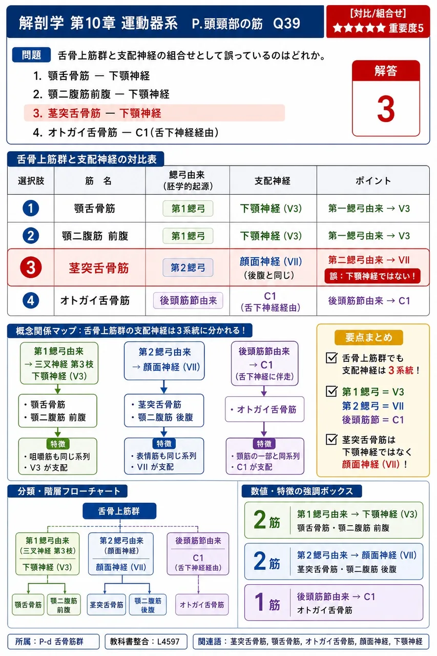 舌骨上筋群と支配神経の組合せとして誤っているのはどれか。 解説図