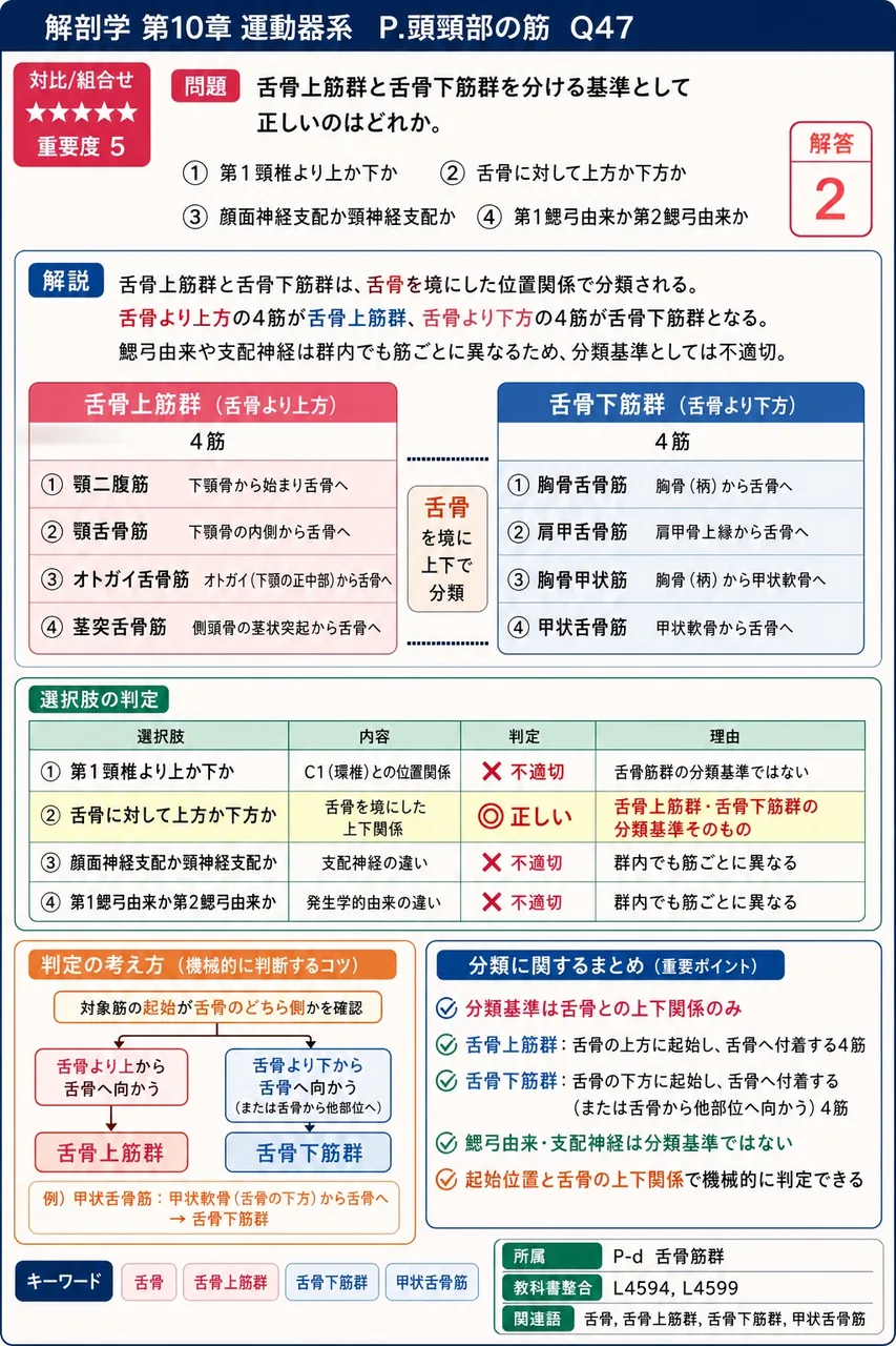 舌骨上筋群と舌骨下筋群を分ける基準として正しいのはどれか。 解説図