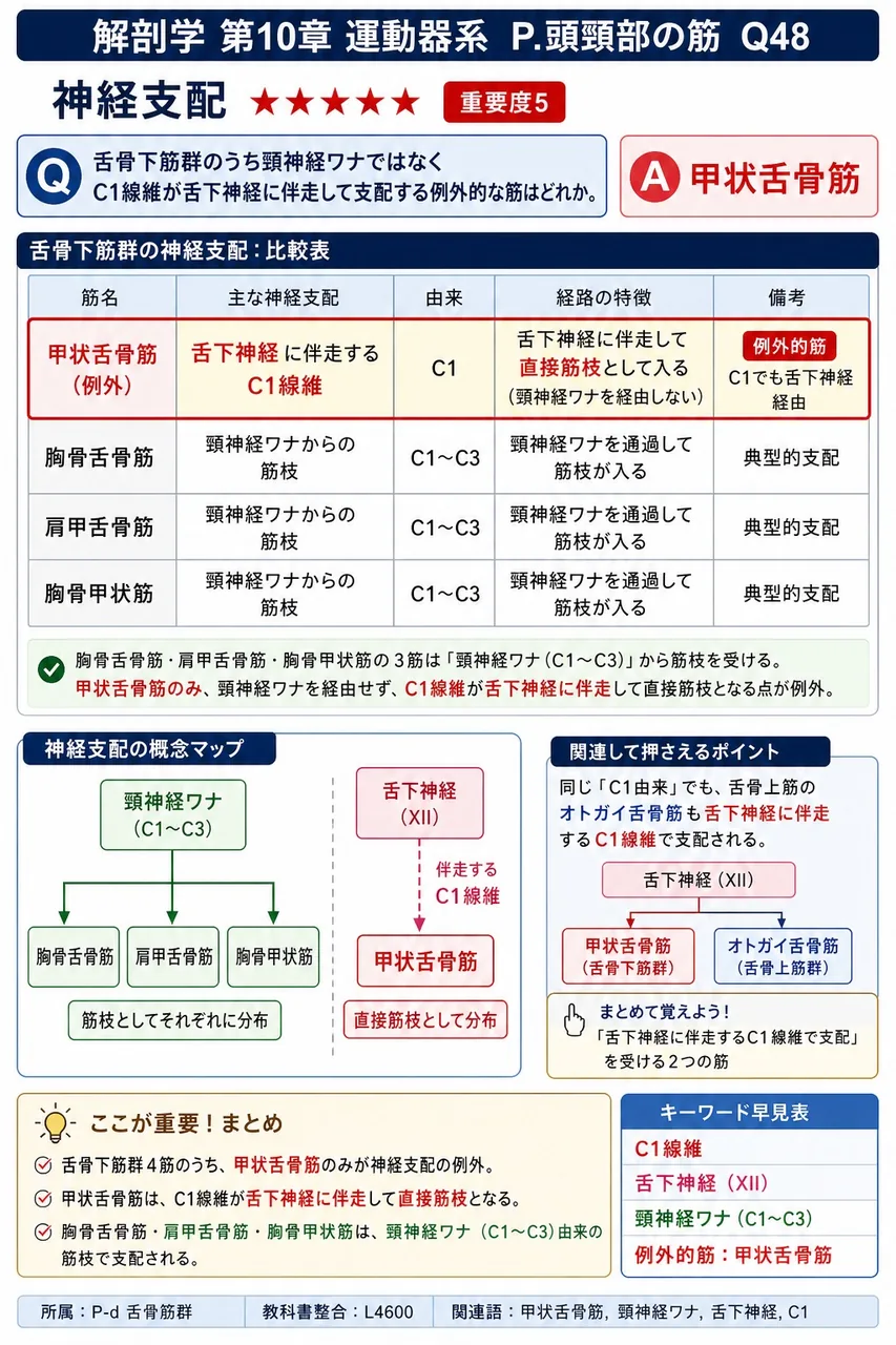舌骨下筋群のうち頸神経ワナではなくC1線維が舌下神経に伴走して支配する例外的な筋はどれか。 解説図