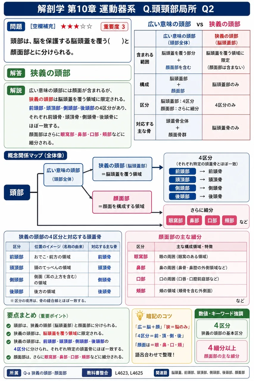 頭部は、脳を保護する脳頭蓋を覆う( )と顔面部とに分けられる。 解説図