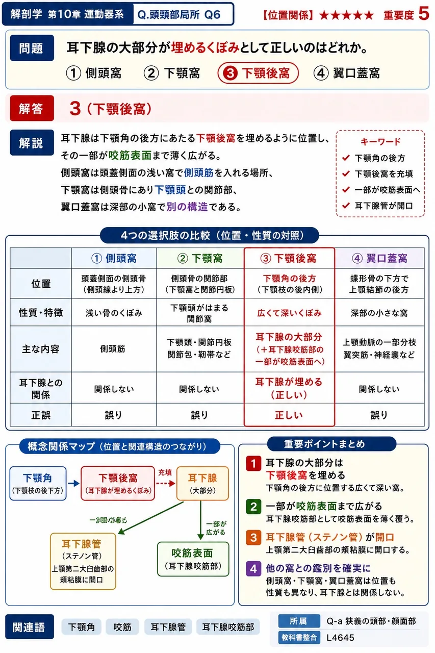 耳下腺の大部分が埋めるくぼみとして正しいのはどれか。 解説図
