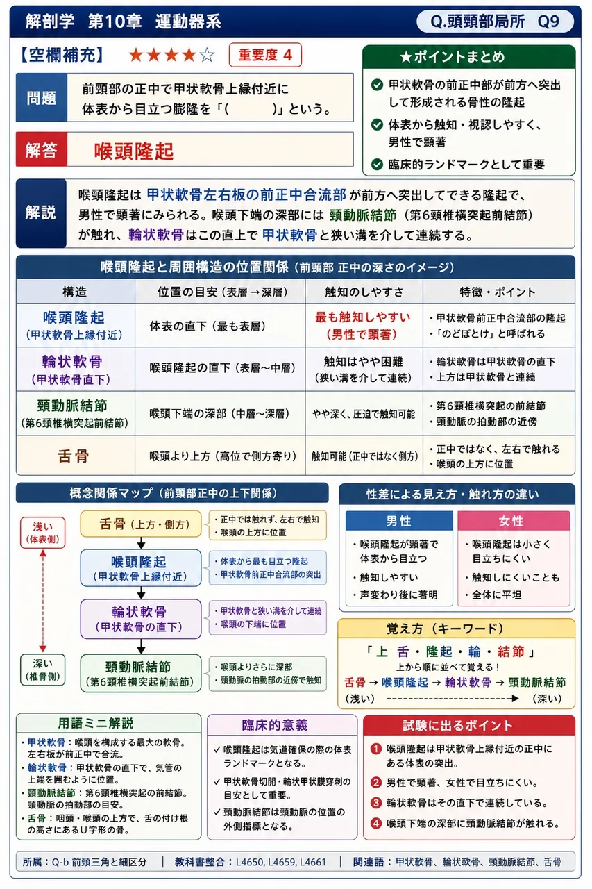 前頸部の正中で甲状軟骨上縁付近に体表から目立つ膨隆を「( )」という。 解説図
