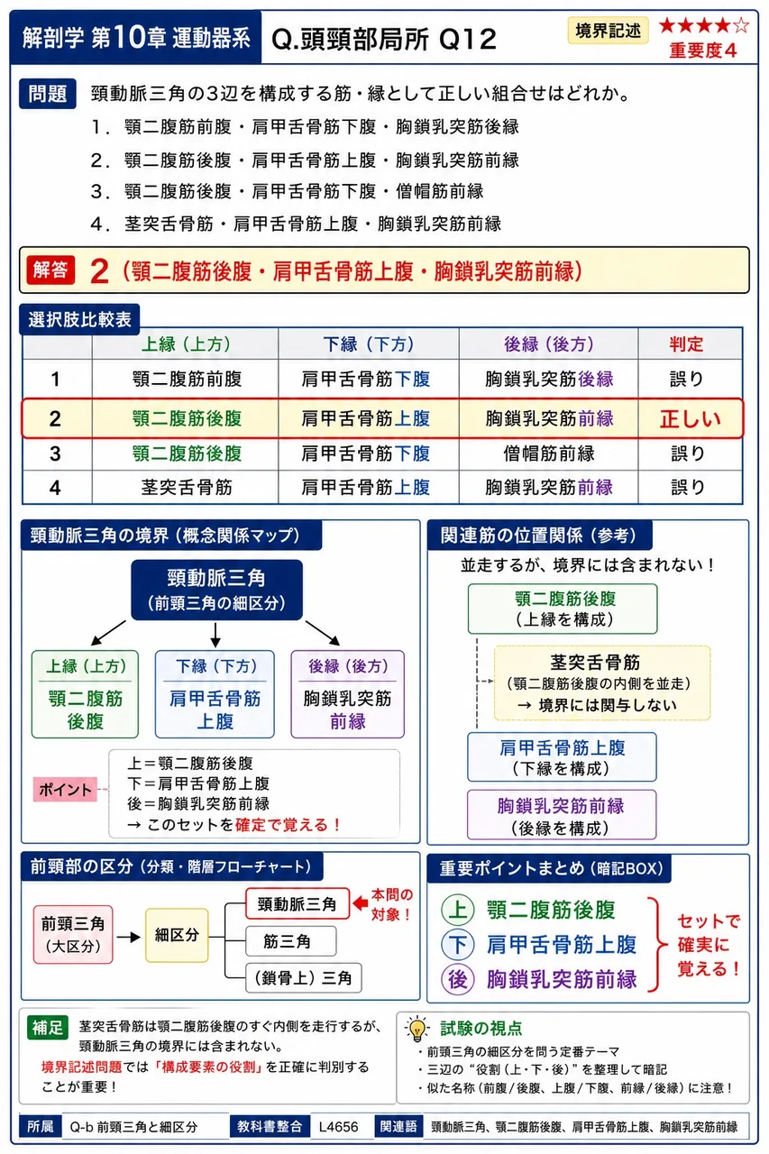 頸動脈三角の3辺を構成する筋・縁として正しい組合せはどれか。 解説図