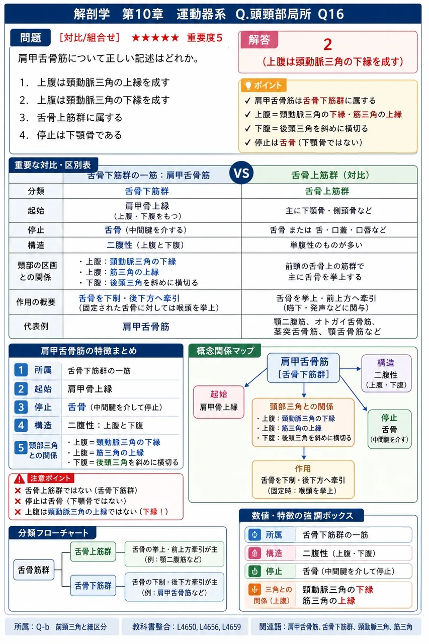 肩甲舌骨筋について正しい記述はどれか。 解説図