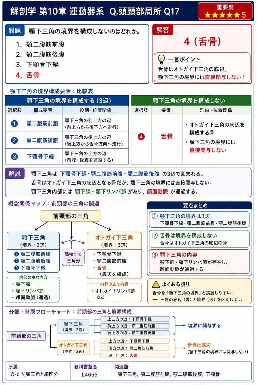 顎下三角の境界を構成しないのはどれか。 解説図
