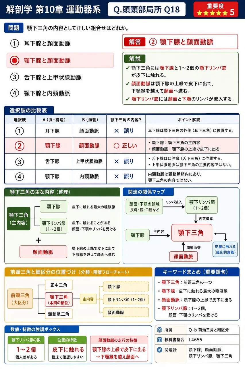 顎下三角の内容として正しい組合せはどれか。 解説図