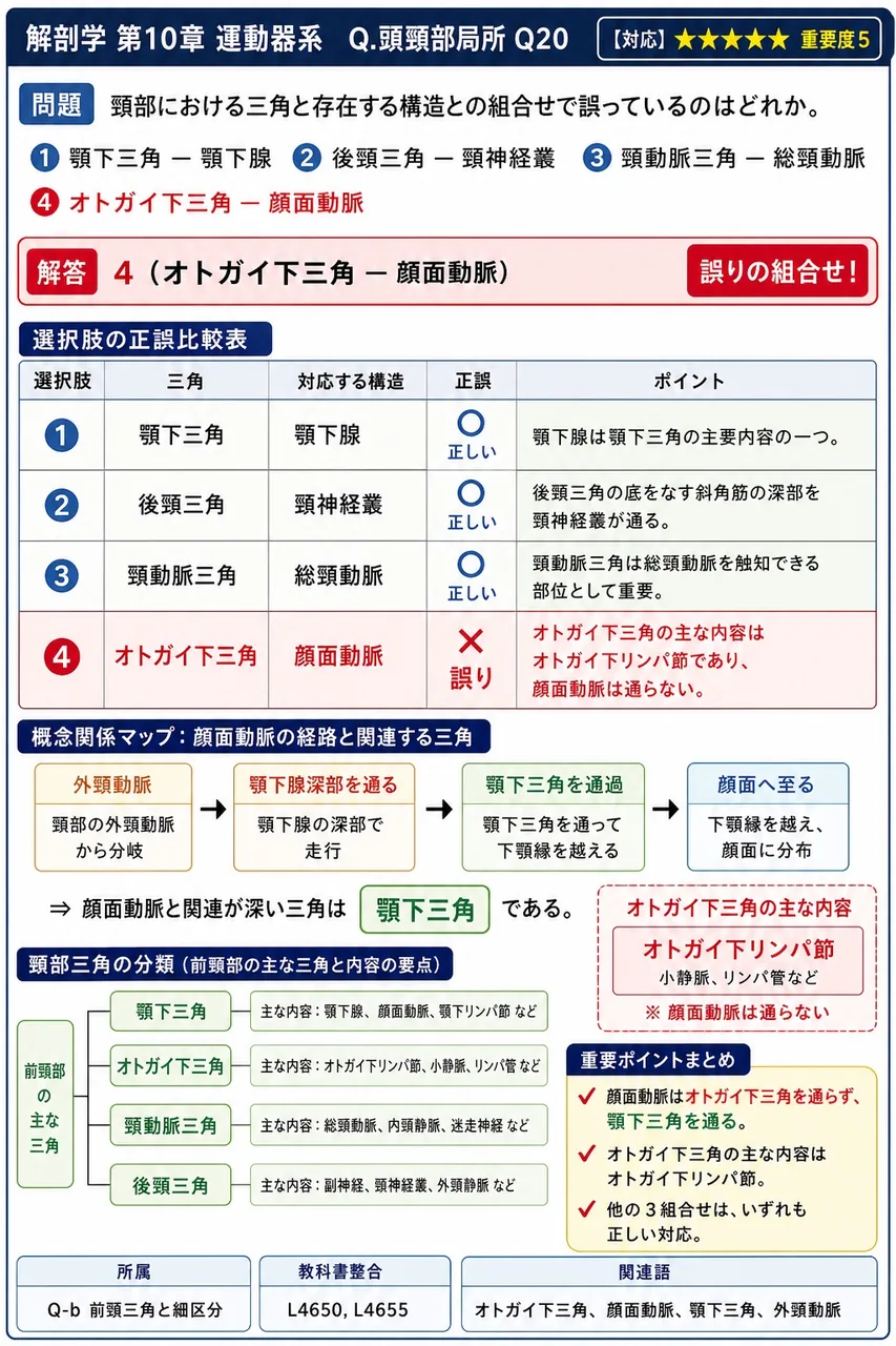 頸部における三角と存在する構造との組合せで誤っているのはどれか。 解説図