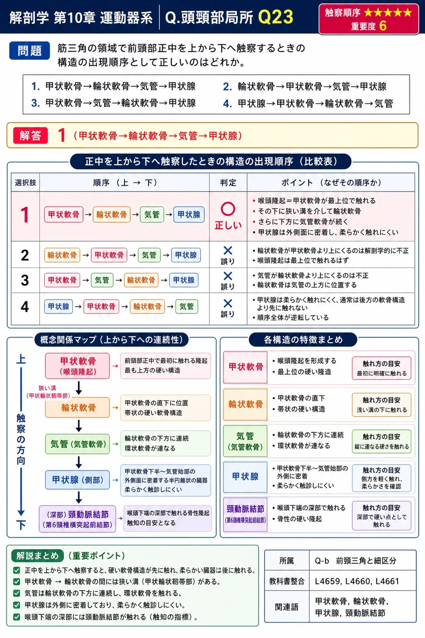 筋三角の領域で前頸部正中を上から下へ触察するときの構造の出現順序として正しいのはどれか。 解説図