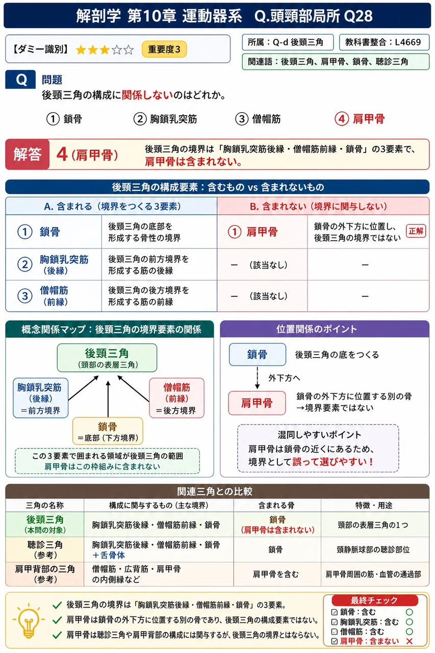 後頸三角の構成に関係しないのはどれか。 解説図